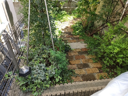 庭木及敷レンガ